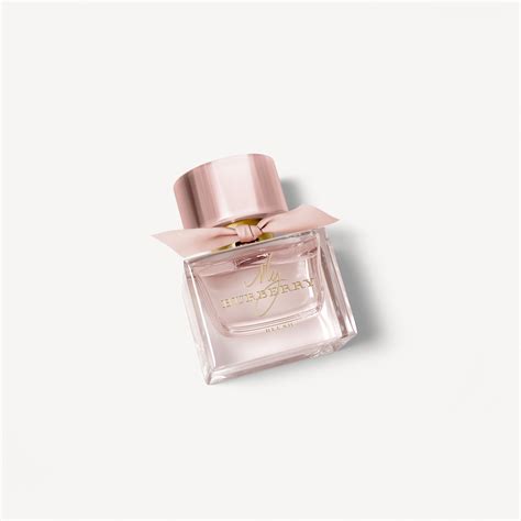 burberry parfum blush preisvergleich|Burberry blush perfume 50ml.